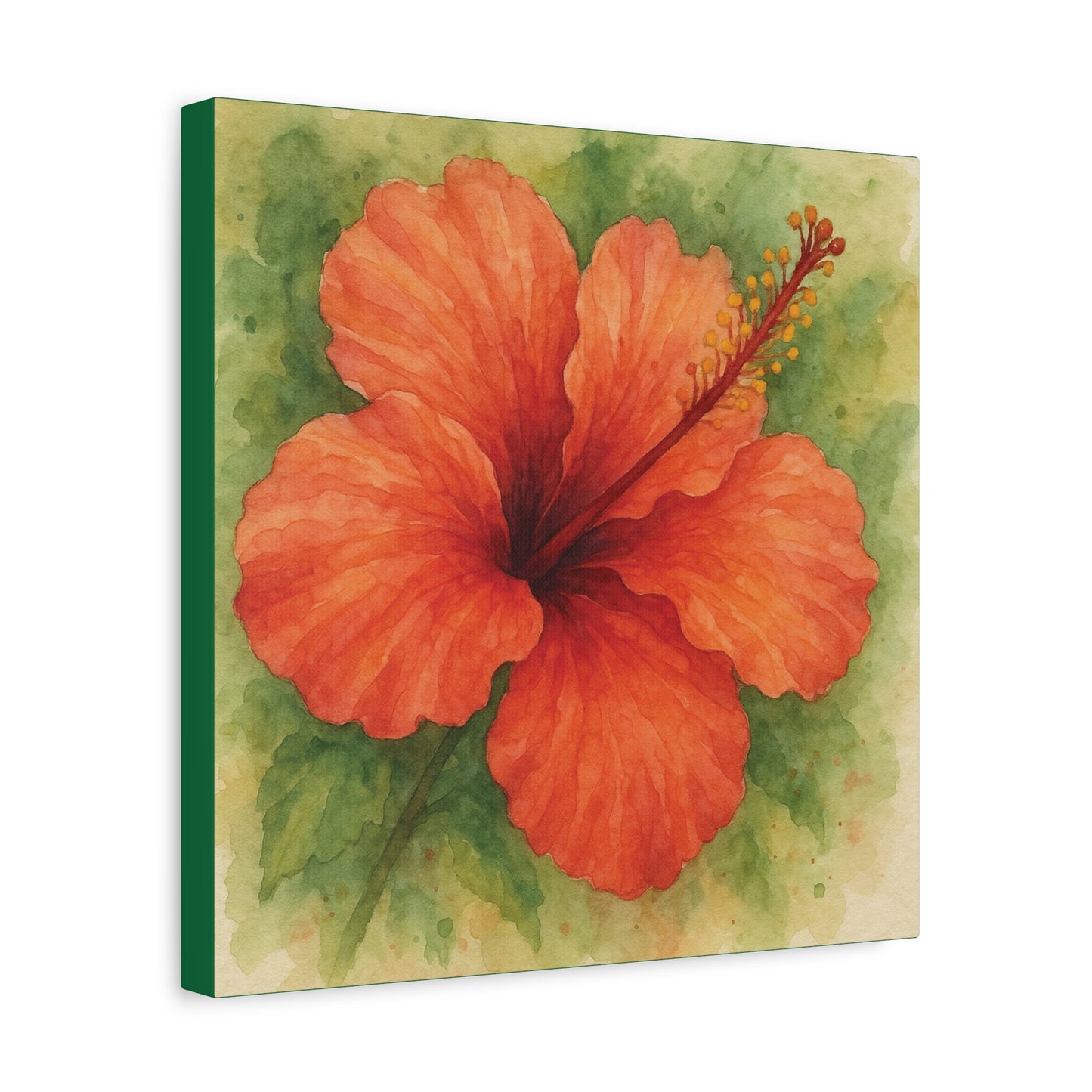 Hibiscus in Fiery Orange